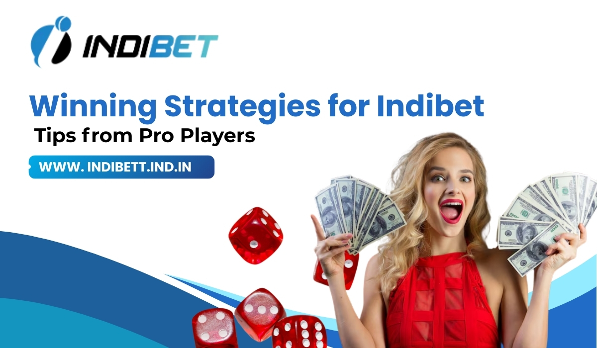Read more about the article Winning Strategies for Indibet – Tips from Pro Players